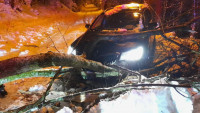 hasiči strom2